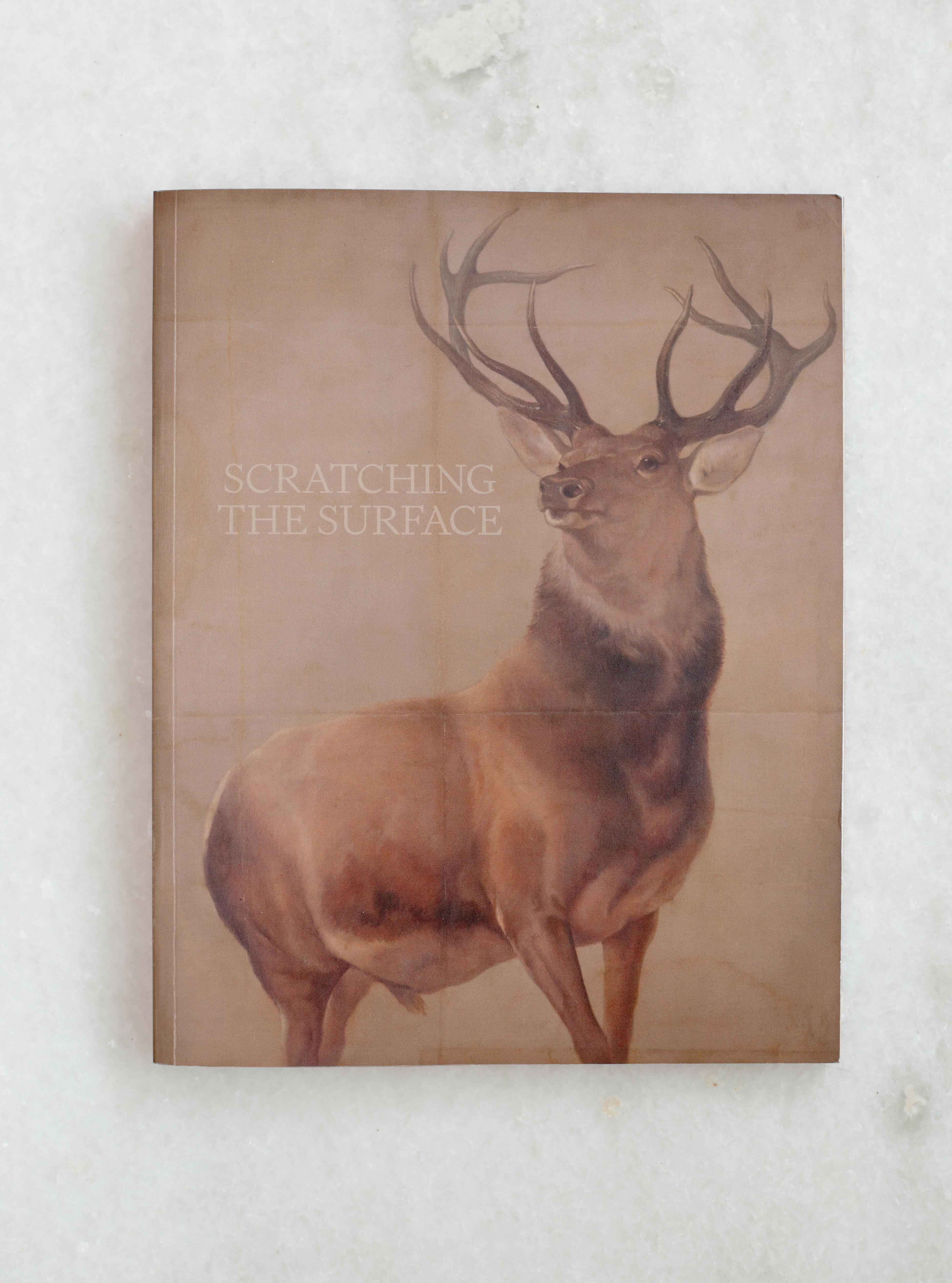 Scratching the Surface · Fonts in use · Klim Type Foundry