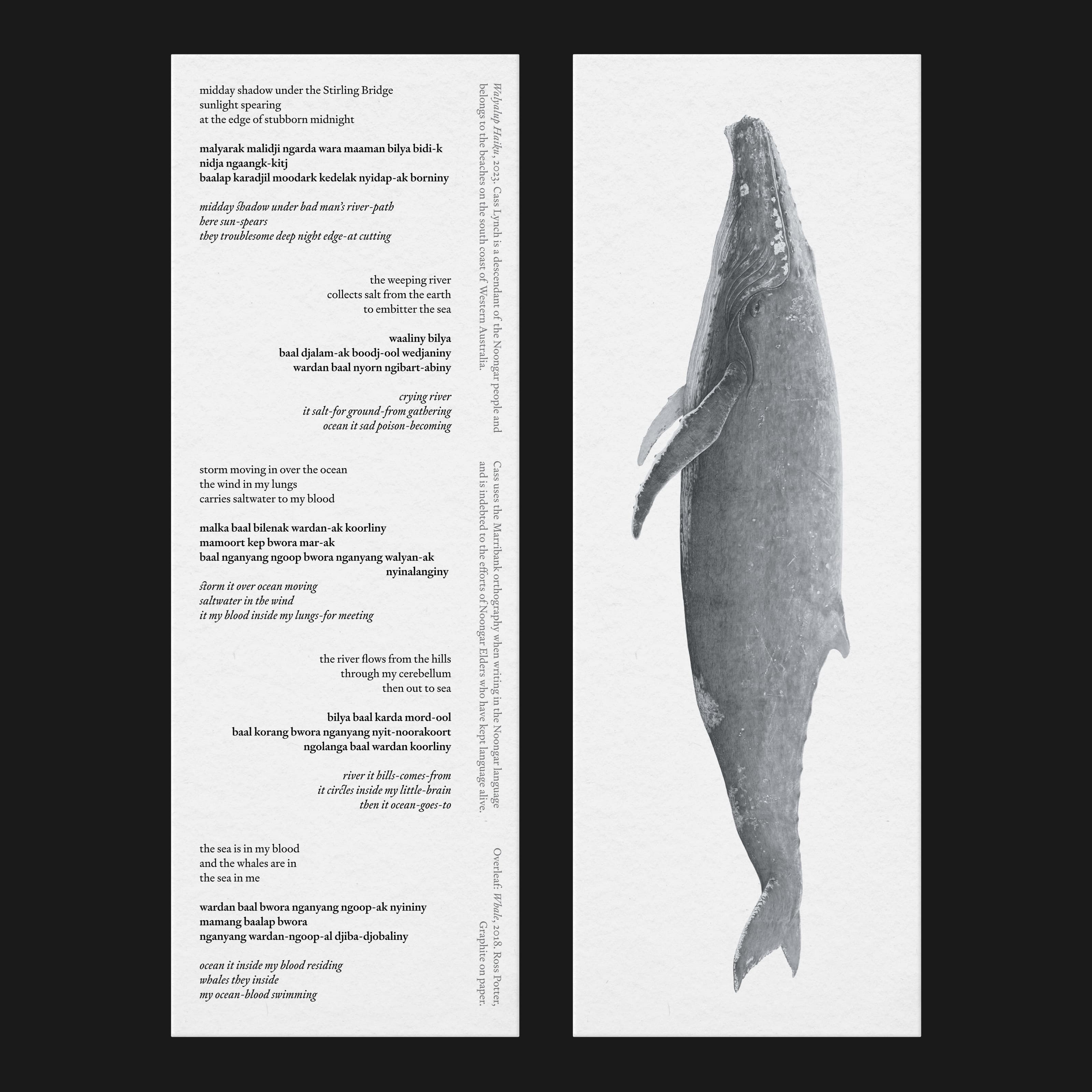 Walyalup Waters · Fonts in use · Klim Type Foundry